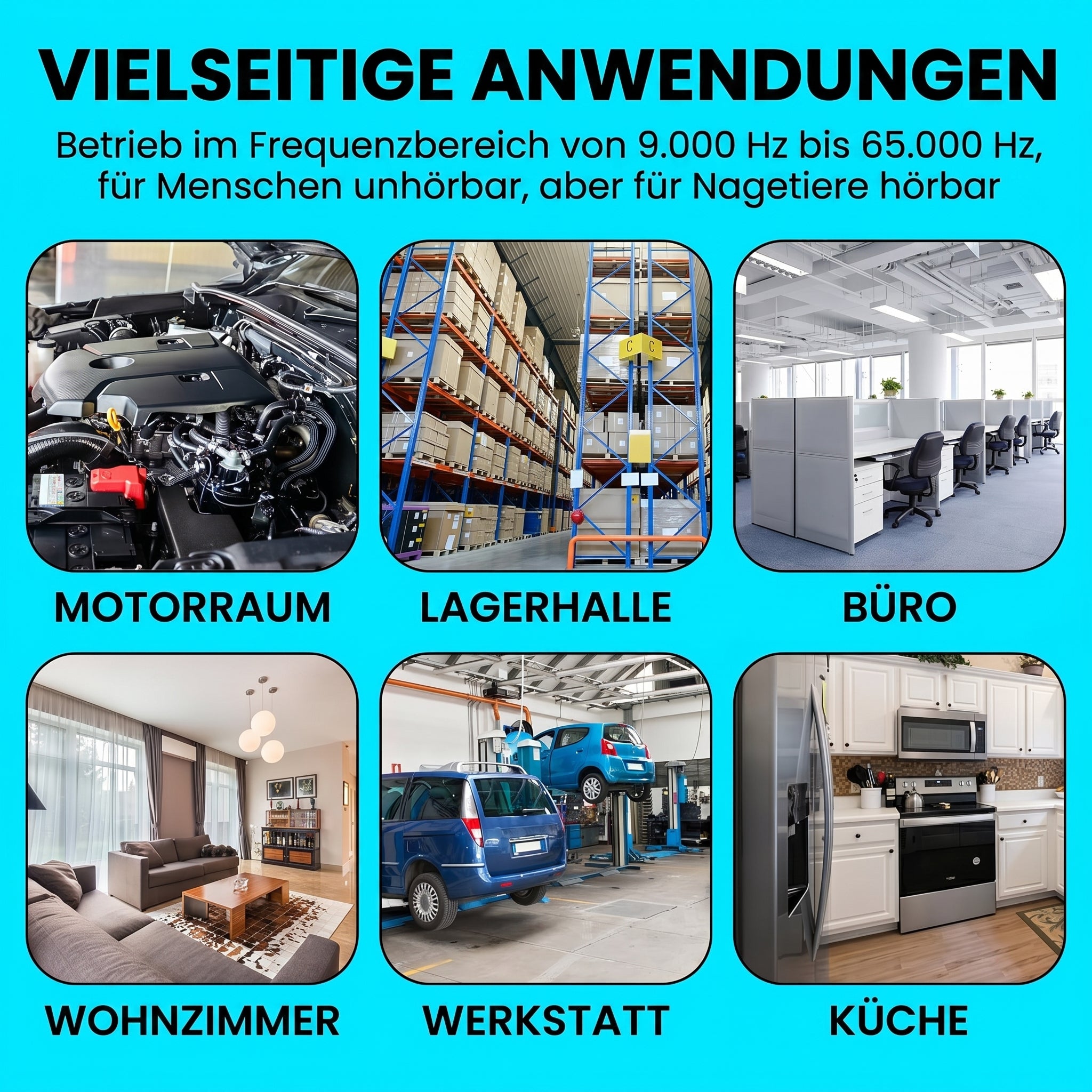 AutexRat
