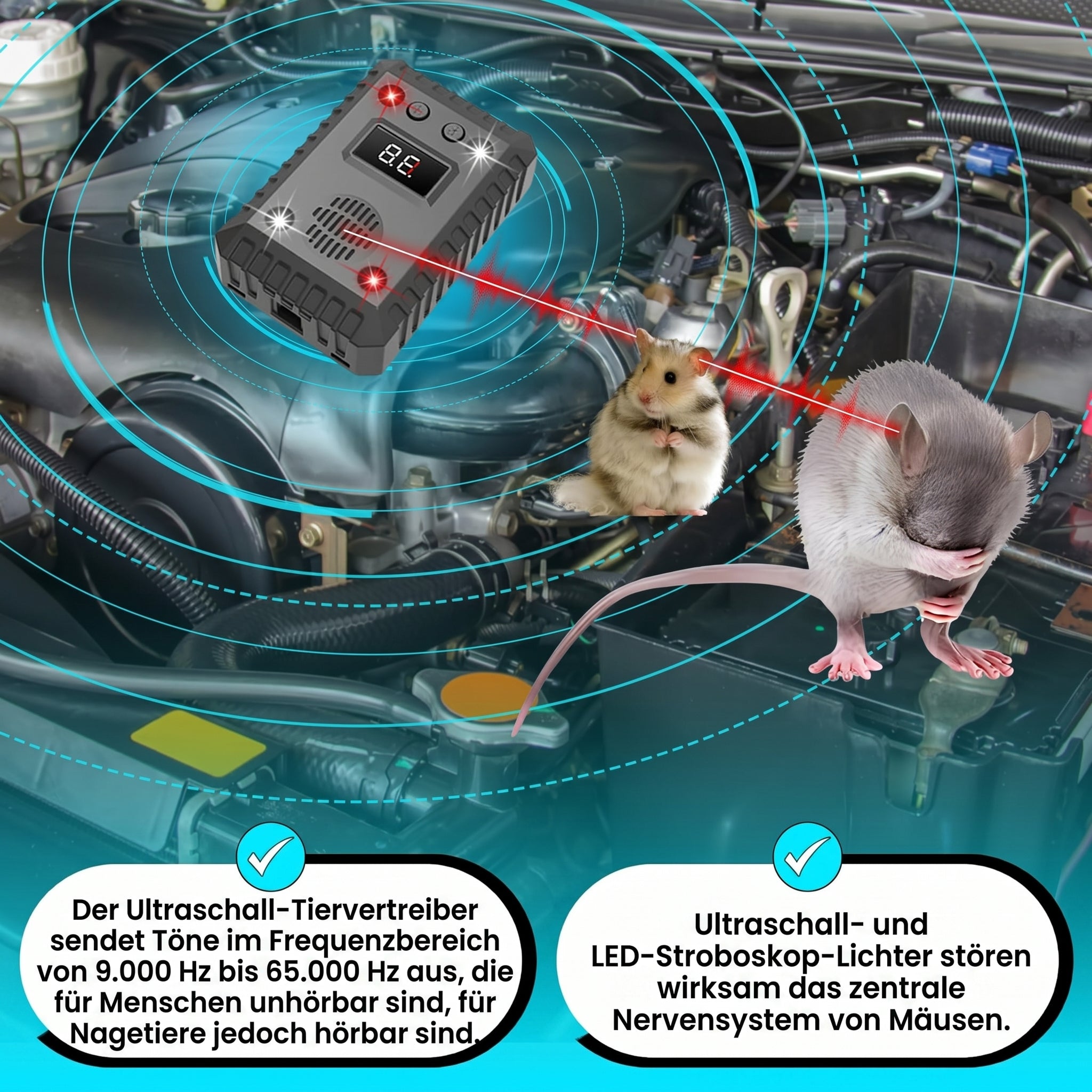 AutexRat