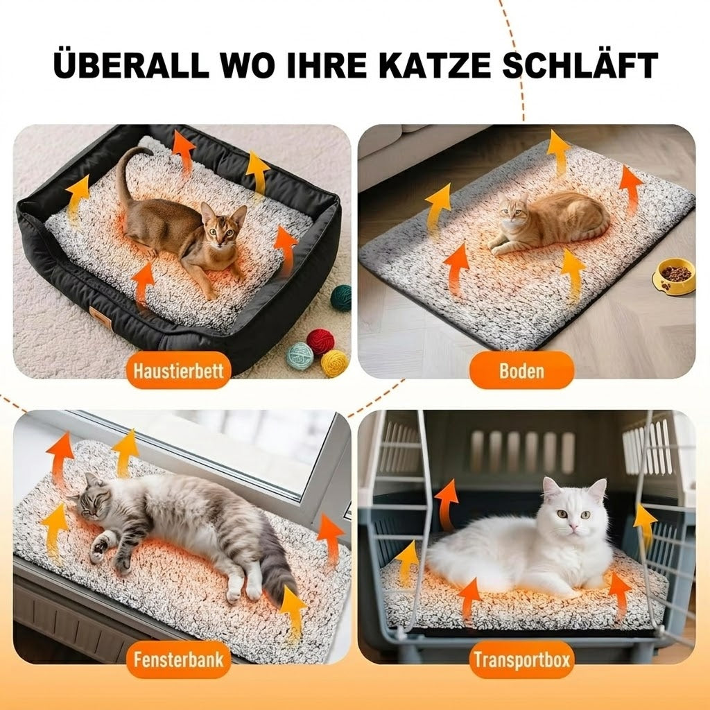CozixCat