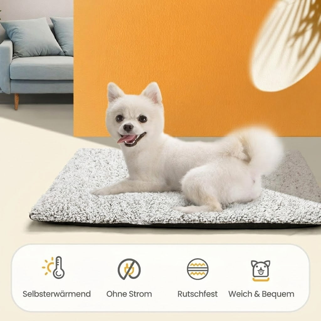 CozixCat