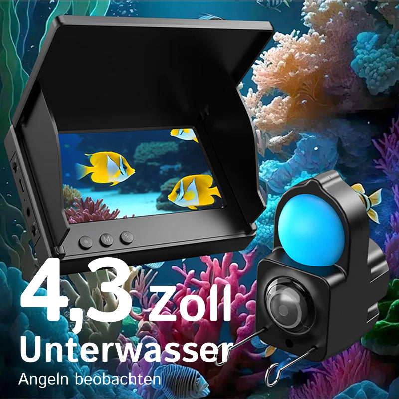 DiveVuse