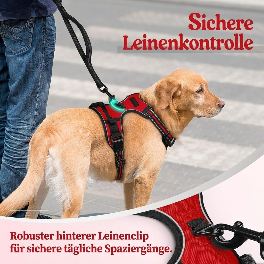 Doghamex