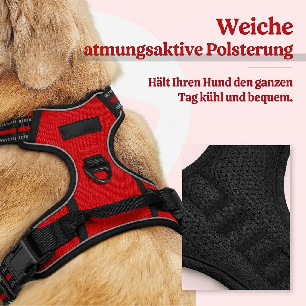 Doghamex