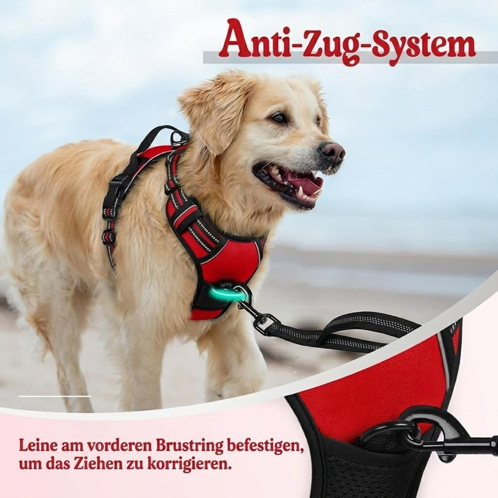Doghamex