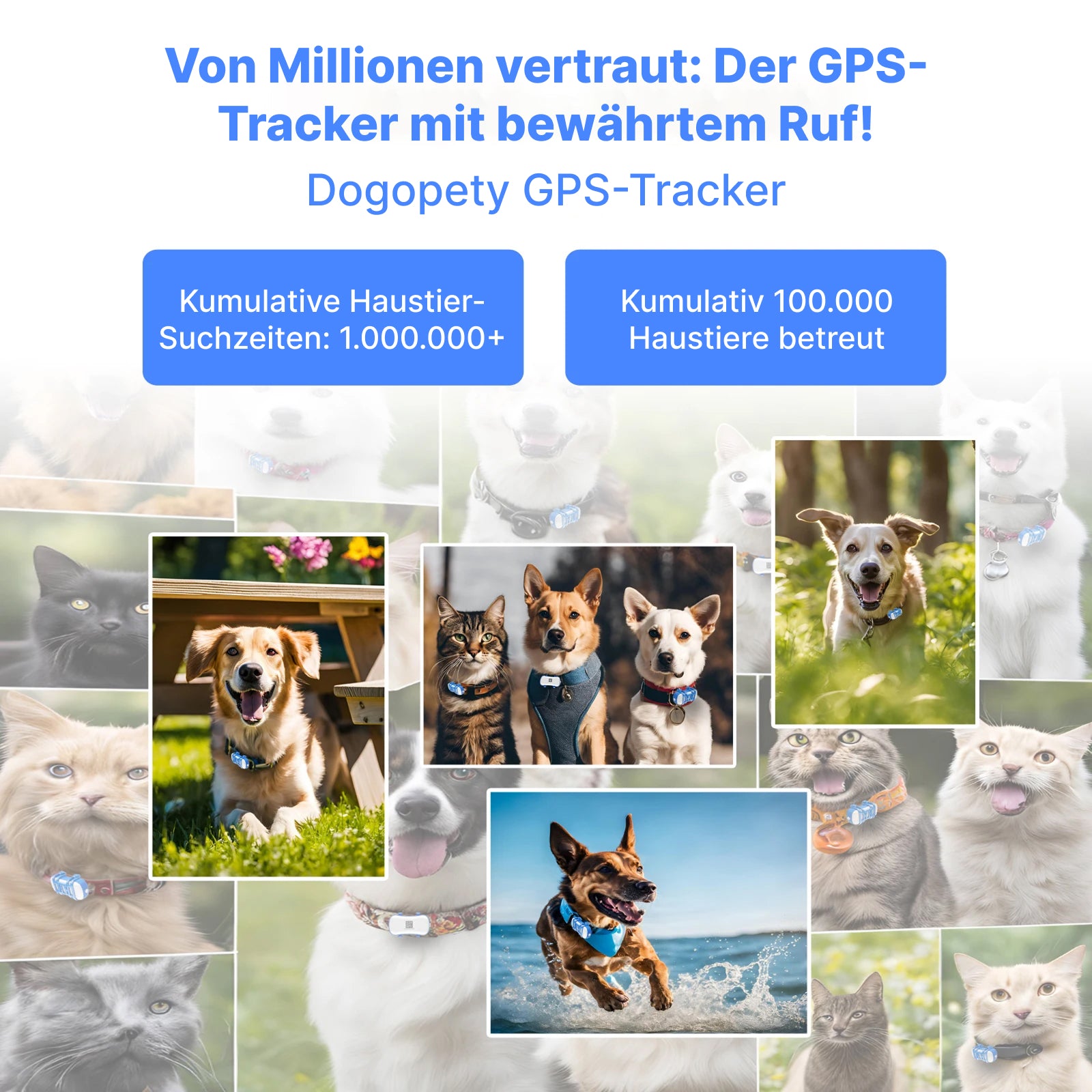 Dogopety