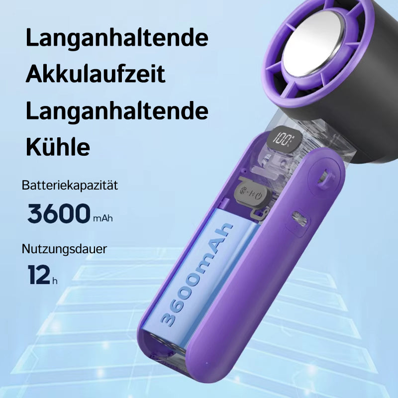 FaniArzee
