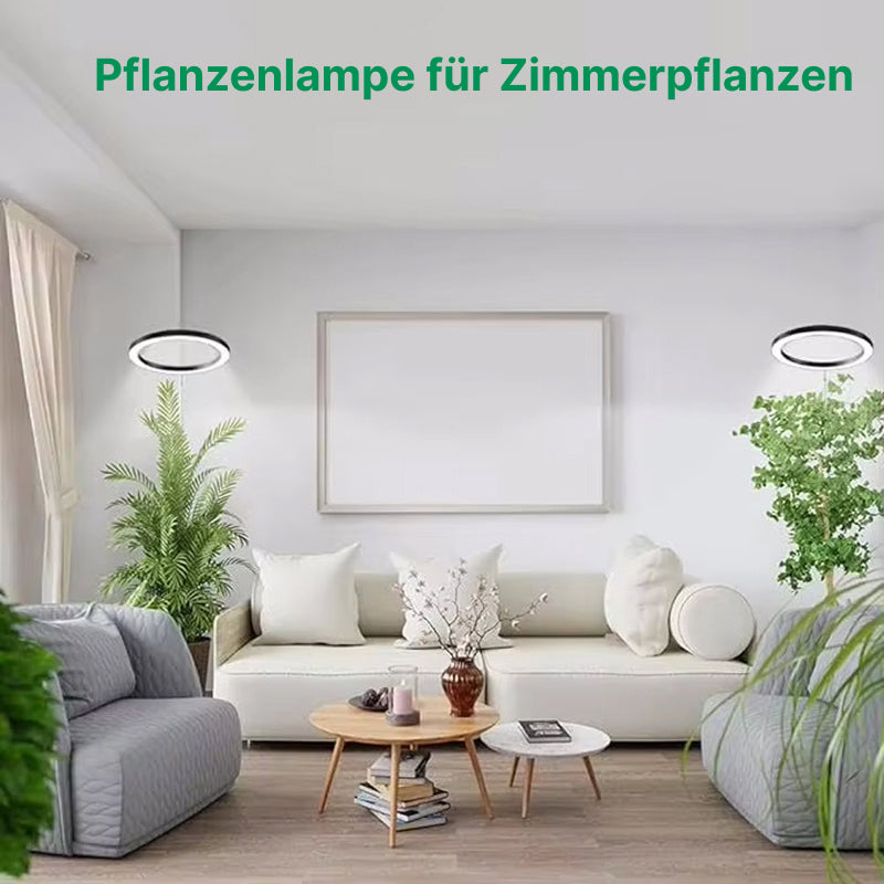 Floramoot