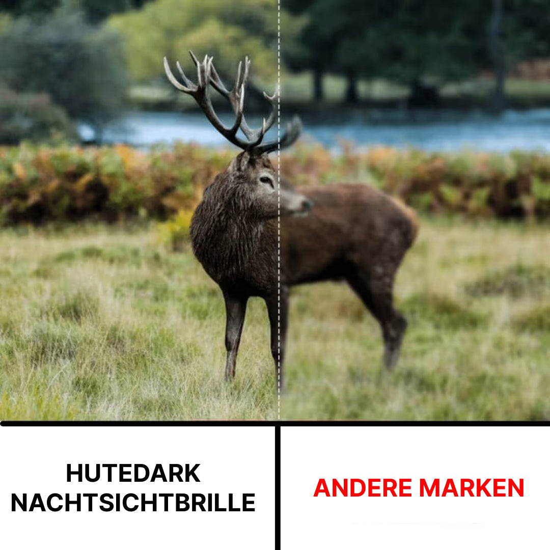 Hutedark