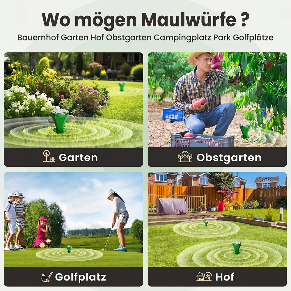 MoleSonix