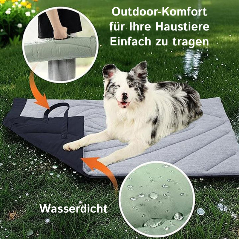 PawFroste