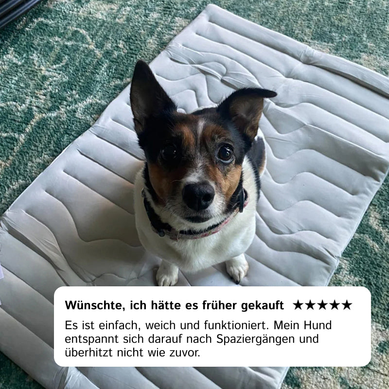 PawFroste
