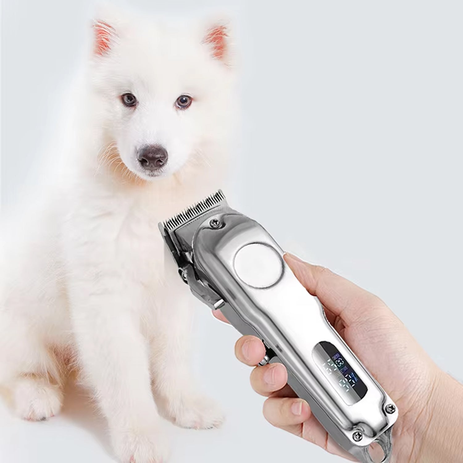 PupiRolex