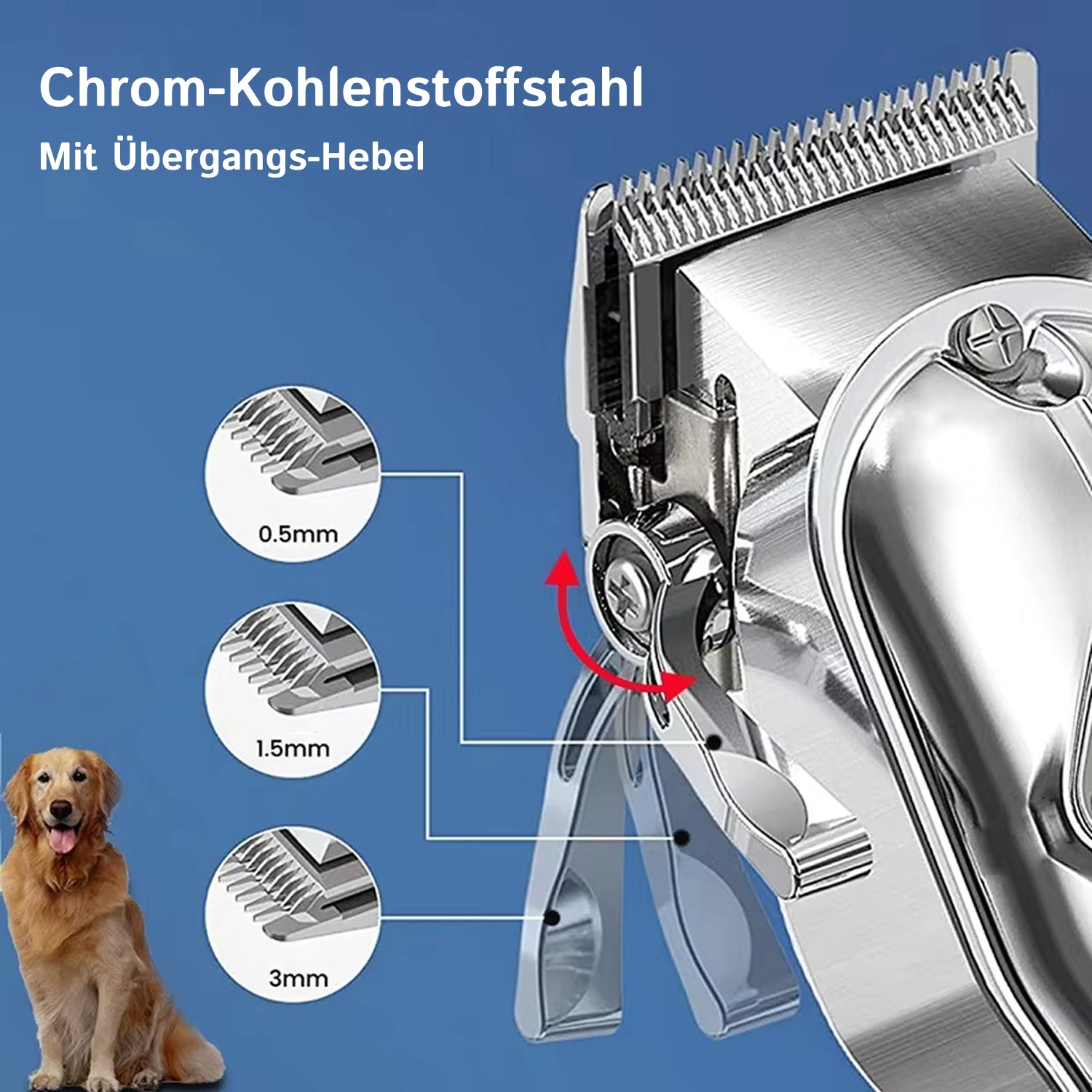 PupiRolex