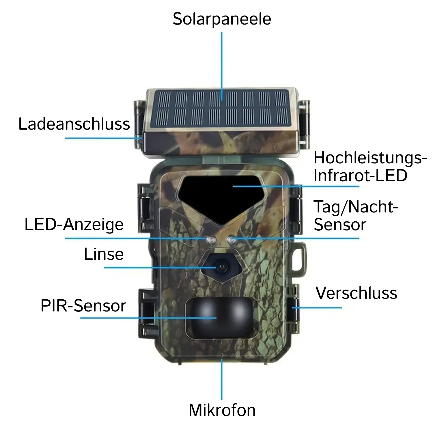 SolCamark