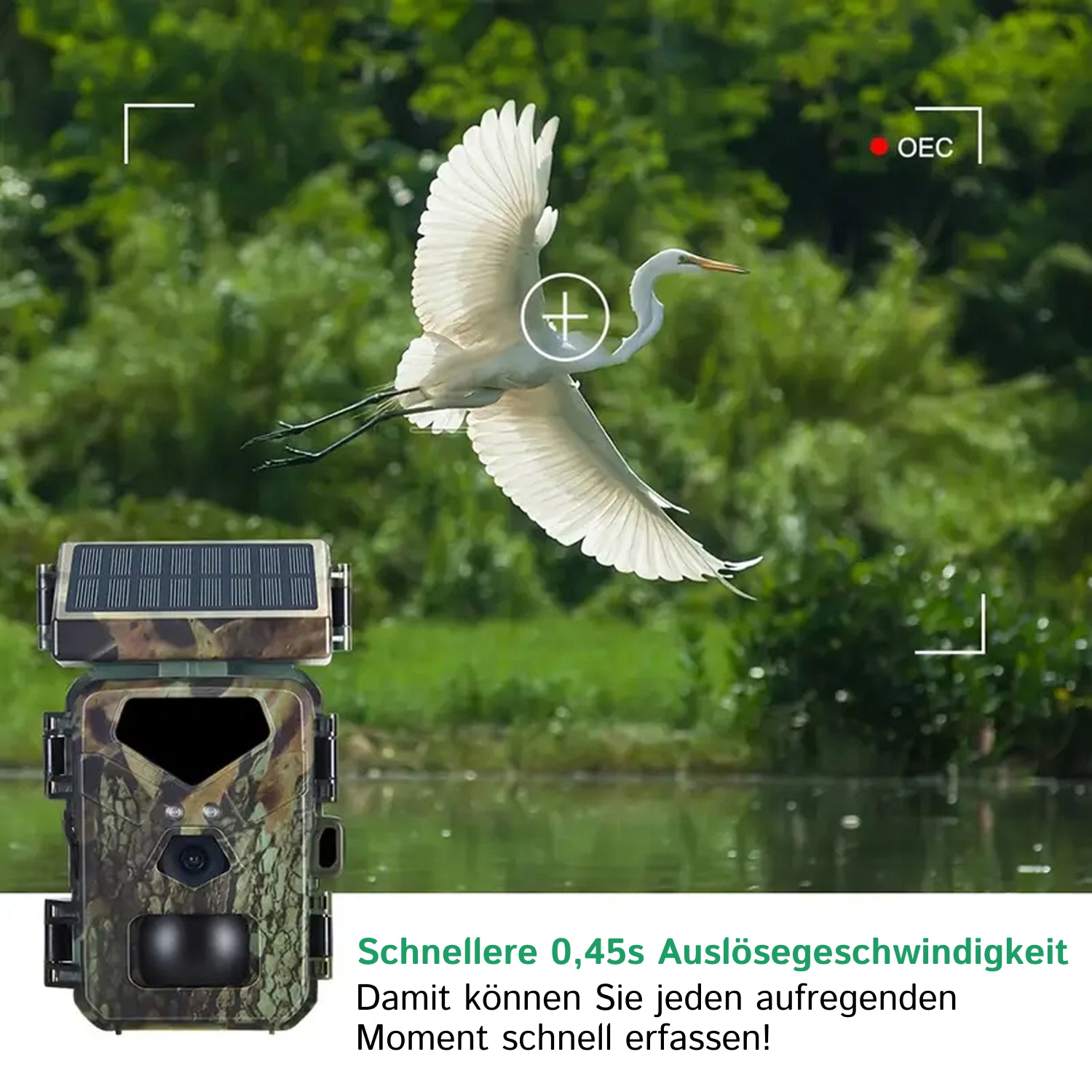 SolCamark