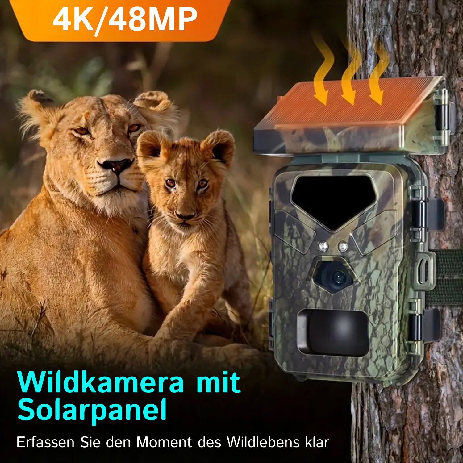 SolCamark