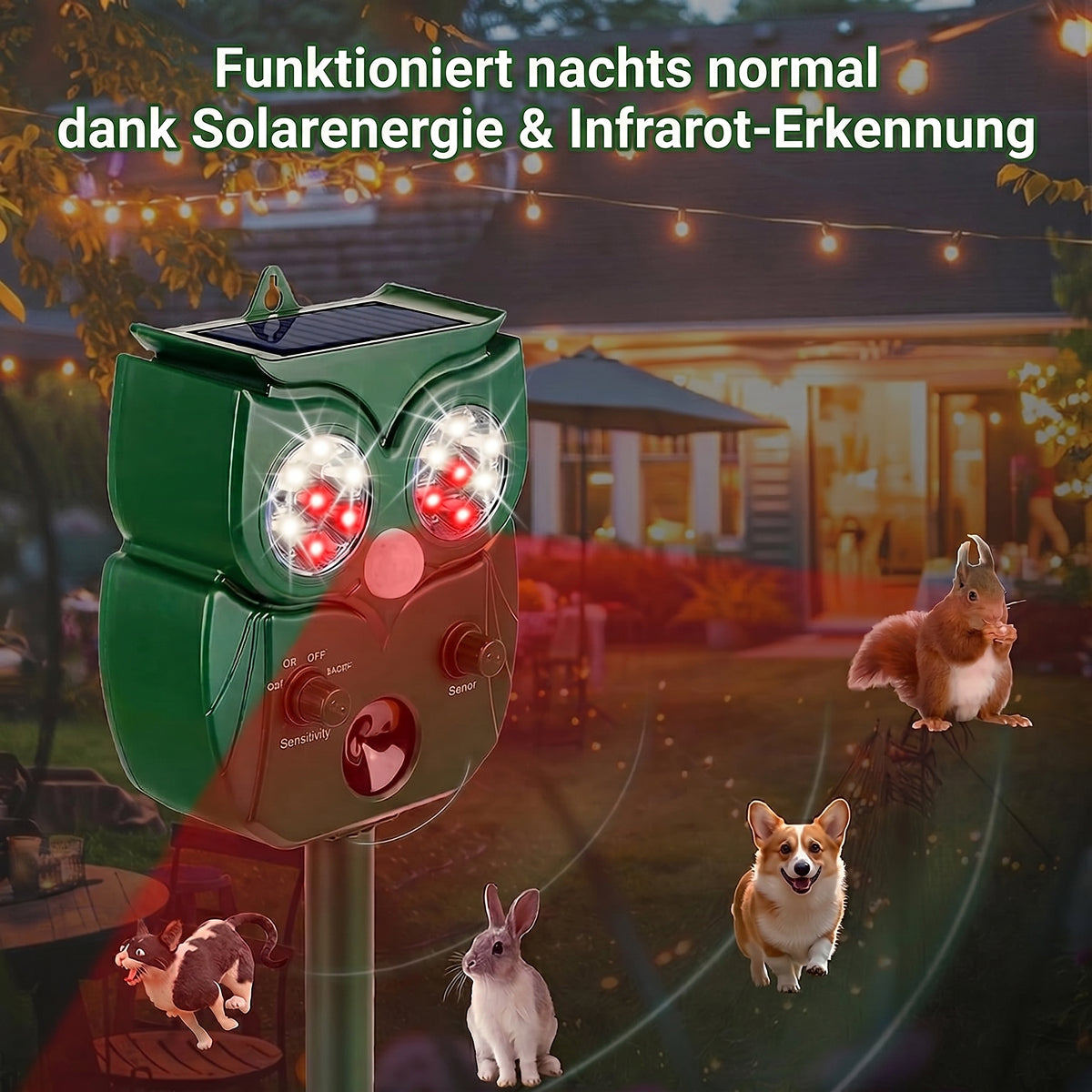SonicHerd