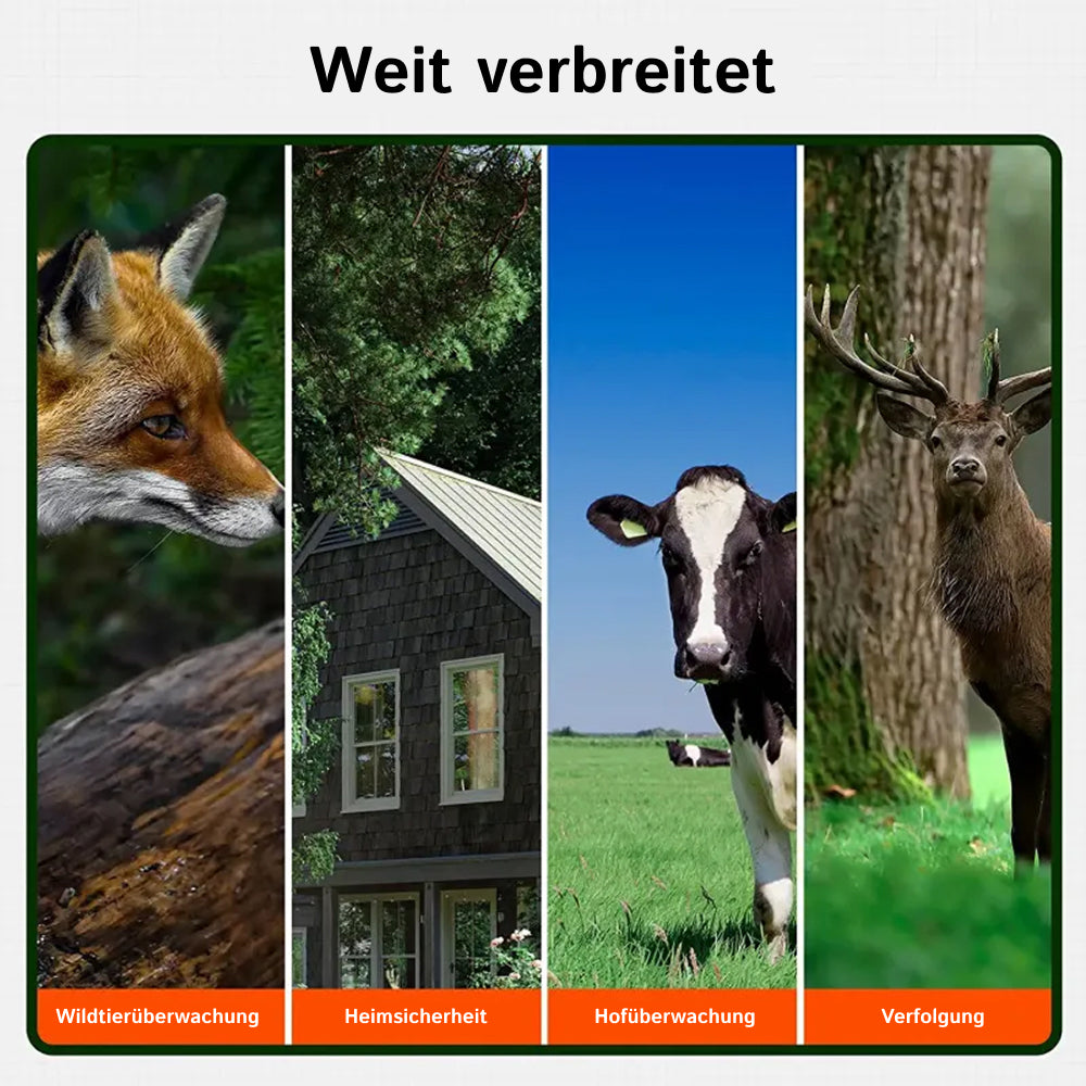 tracka-pix-de-02.jpg__PID:0e14724f-3a48-4a0e-92ce-5ea18aeb68c3