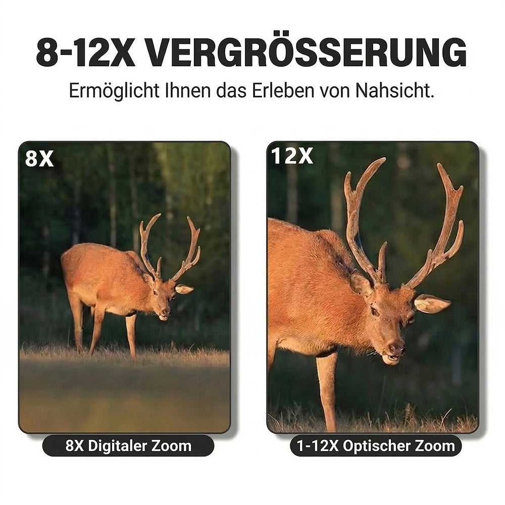 Zoomastor
