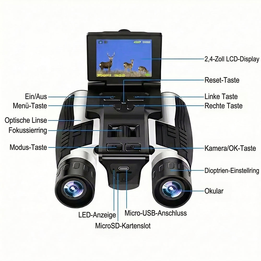 Zoomastor